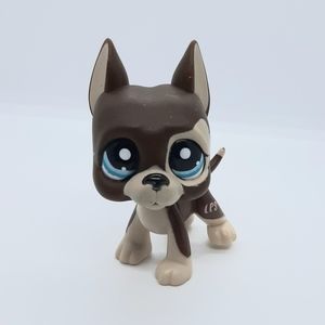 Rare littlest pet shop great dane! (LPS)